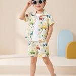 Boys Multi-Color Car Print Co-Ord Set – Cotton Shirt & Shorts Summer Outfit for Kids
