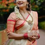 Desultory Beige Soft Silk Saree With Snappy Blouse Piece