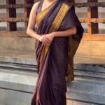Evocative Brown Pure Zari Weaving Banarasi Silk Saree With Verdant Blouse Piece