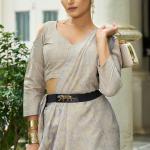 Supernal Grey Lucknowi Silk Saree With Glittering Blouse Piece