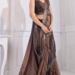 Snazzy Brown Jarkan Work Fandy Silk Saree