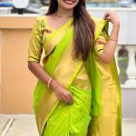 Seraphic Parrot Paithani Silk Saree With Sumptuous Blouse Piece
