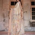 Printed Off White Linen Saree for Women with Multicolor Pallu and Ethnic Border – Lightweight Casual Wear
