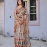 Printed Multicolor Linen Saree for Women with Multicolor Pallu and Ethnic Border – Lightweight Casual Wear