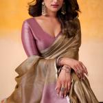 Desultory Brown Soft Banarasi Tissue Silk Saree With Designer Blouse Piece