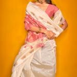 Designer Beige Soft Banarasi Silk Saree With Arresting Blouse Piece