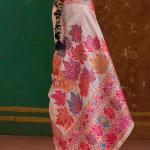 Extraordinary Beige Pashmina Saree With Pleasant Blouse Piece