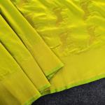 Scintilla Parrot Pure Zari Weaving Banarasi Silk Saree With Beguiling Blouse Piece